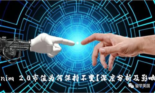 Tokenim 2.0市值为何保持不变？深度分析及影响因素