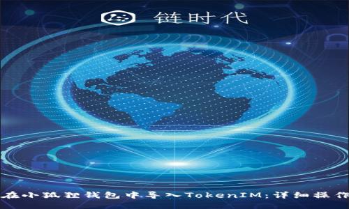 如何在小狐狸钱包中导入TokenIM：详细操作指南