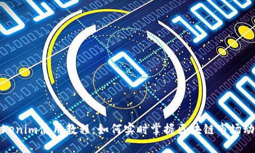 Tokenim使用教程：如何实时掌握区块链市场动态