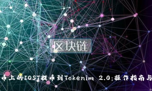 如何将火币上的IOST提币到Tokenim 2.0：操作指南与注意事项