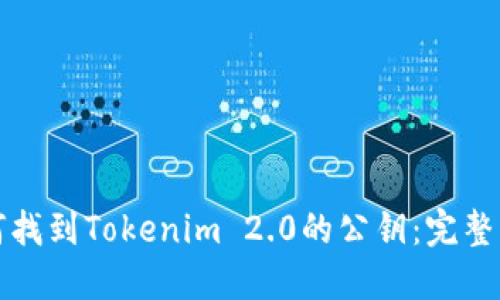 如何找到Tokenim 2.0的公钥：完整指南