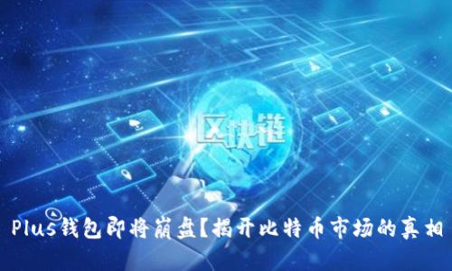 Plus钱包即将崩盘？揭开比特币市场的真相