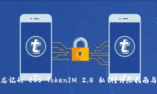 如何找回忘记的 EOS TokenIM 2.0 私钥？详尽指南与解决方案