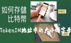 全面解析TokenIM地址中的大