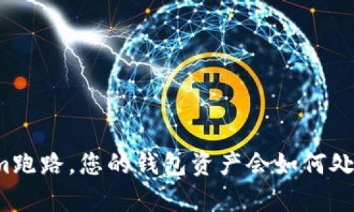 如果Tokenim跑路，您的钱包资产会如何处理？全面解析