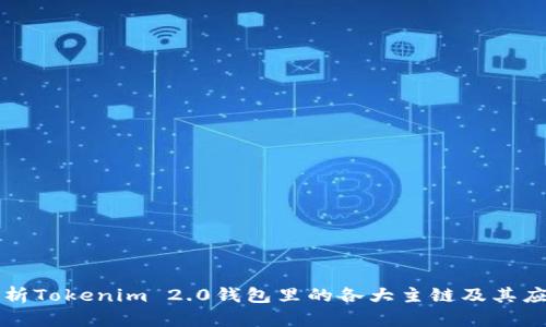 全面解析Tokenim 2.0钱包里的各大主链及其应用潜力