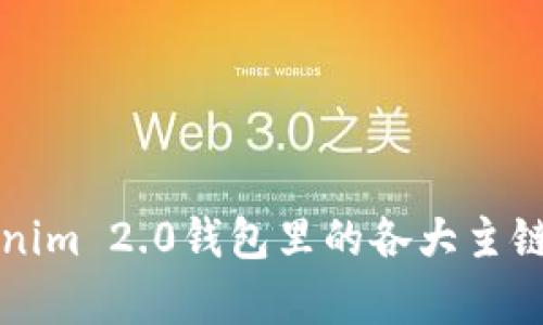 全面解析Tokenim 2.0钱包里的各大主链及其应用潜力