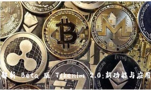 深入解析 Beta 版 Tokenim 2.0：新功能与应用前景