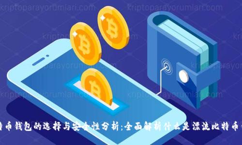 比特币钱包的选择与安全性分析：全面解析什么是漂流比特币钱包