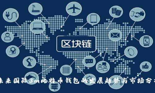 未来国际3m比特币钱包的发展趋势与市场分析