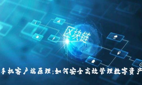 比特币钱包手机客户端原理：如何安全高效管理数字资产的未来趋势