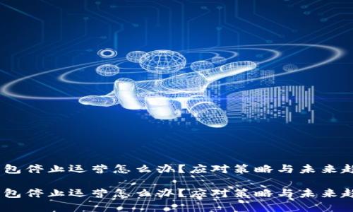 USDT钱包停止运营怎么办？应对策略与未来趋势分析

USDT钱包停止运营怎么办？应对策略与未来趋势分析