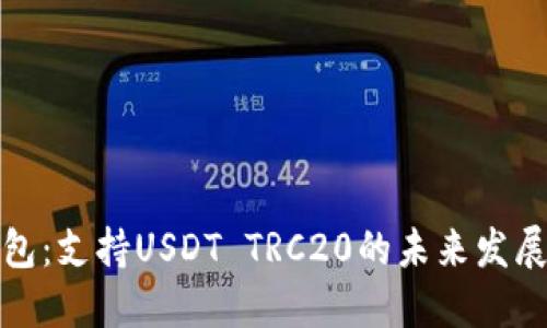 波场钱包：支持USDT TRC20的未来发展与趋势