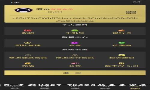 波场钱包：支持USDT TRC20的未来发展与趋势